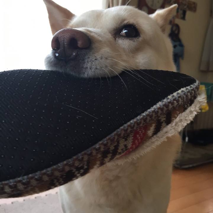 Ab9e3188 989f 4af0 ac8f dc3bc24fc979