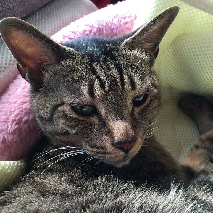 Ab9f874f 4ee5 4c02 b2d5 2f4b31c2705b