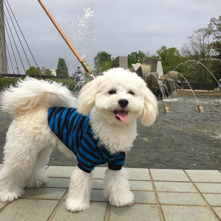 Ab9fb44d 3598 45f5 8d7f efbc39c7794c