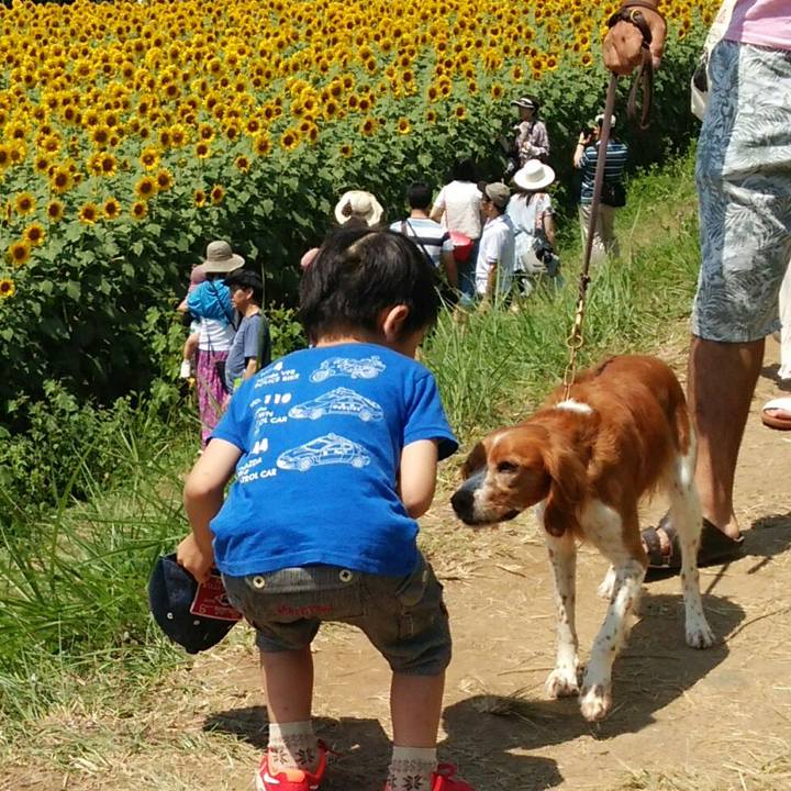 Aba01c66 1a8b 4d0a 8f3e f74e72b5061c