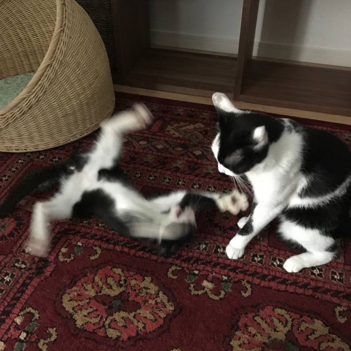 Aba090ae f1f4 4658 b1e0 9a6dc49e7ced