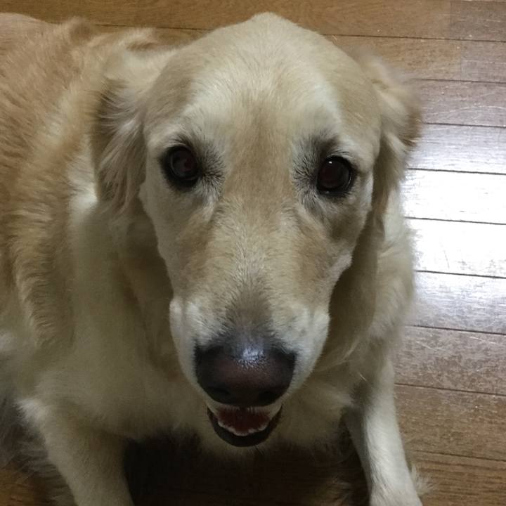 Aba100dd 38b0 4cd2 a9ab a665a9639b43