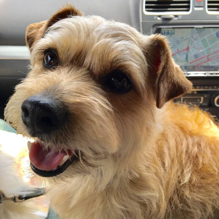 Aba11df1 f645 459d 953a 9956ac81fe8b