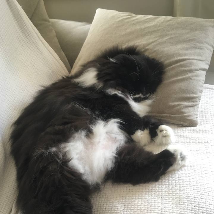 Aba1a2b4 7be8 463e 9b58 7c114590d5a0