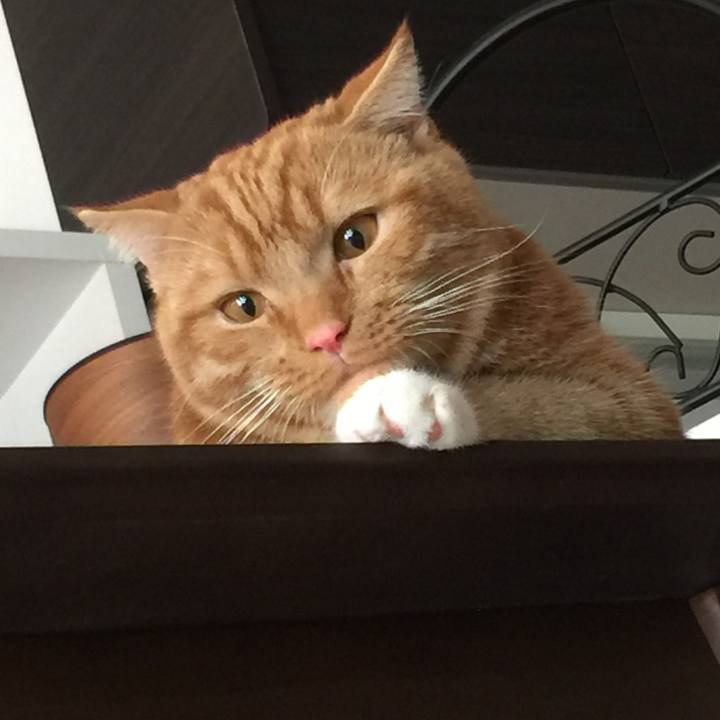 Aba1bbc6 98cb 457b 92d2 b2e1738da408