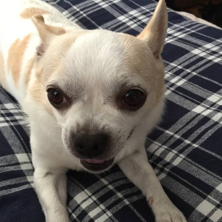 Aba21bac cc52 4d9b 8e39 33fb50ae506f