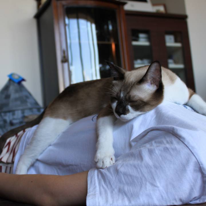 Aba21d91 4528 413e a3db 437c363e7bb6