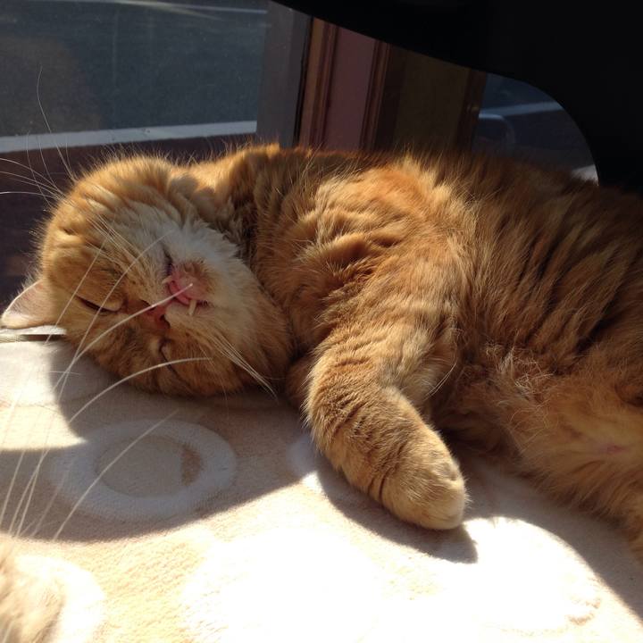 Aba29eb3 5992 43e0 ada9 a57f780e9626