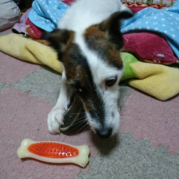 Aba3ac38 c47a 4067 b060 c66c8ac98636