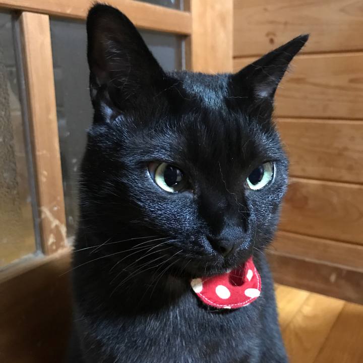 Aba44c1f a6a8 42e6 a2b0 d2349ba6097c