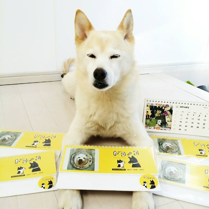 Aba48e03 4f20 433a 8b7a bc76294af59c