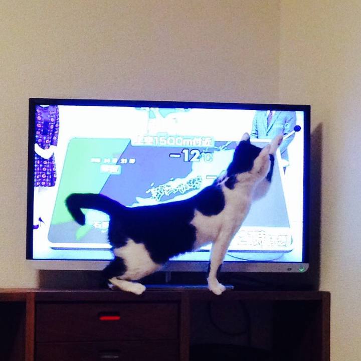 Aba49298 e9f7 4837 8518 b454411ad122