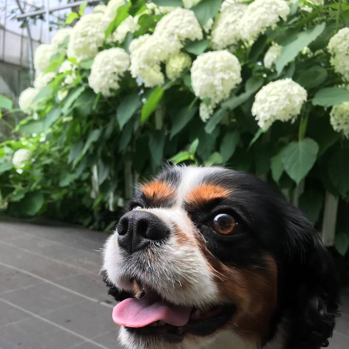 Aba4ba26 1e94 411e 8c49 ef31449385d9