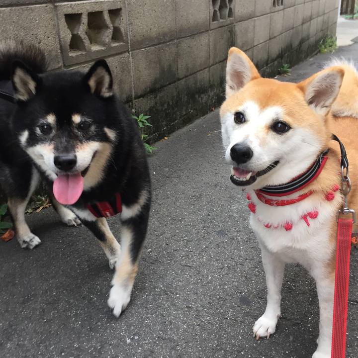 Aba4c5d5 49fc 427b ac89 f33434f06693