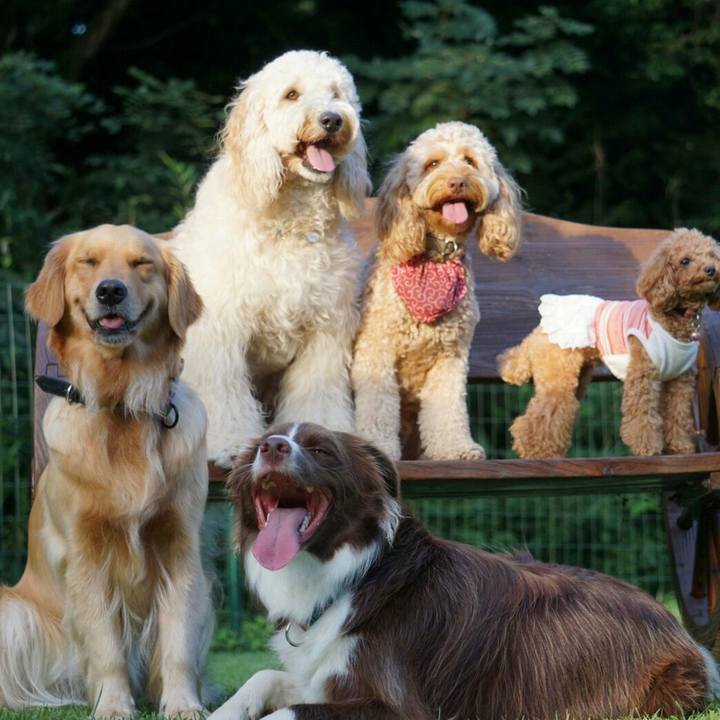 Aba50f04 a12e 43cc a276 d93ec882fe2d