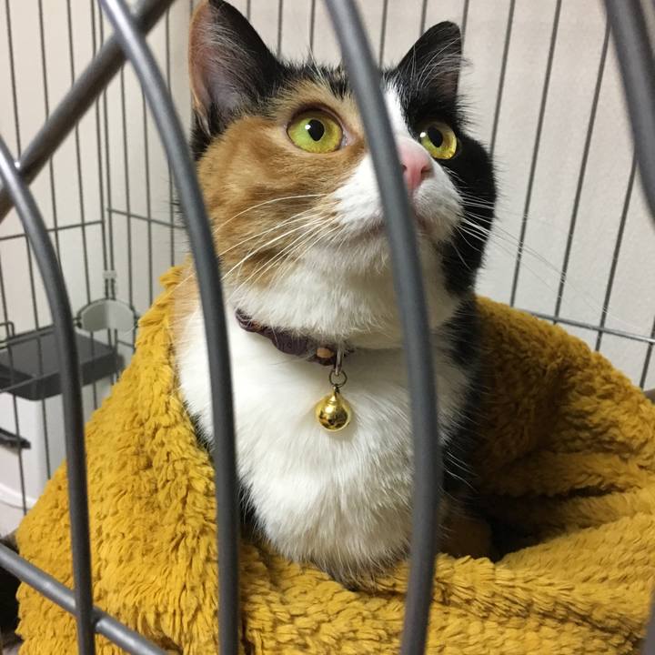 Aba5e82b 6262 4e86 8c9e 19f35883c882