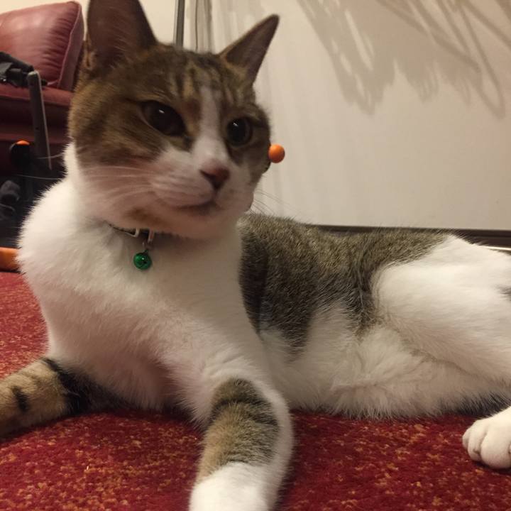 Aba6076c 62fd 47f1 b96e 2672f5b9154e