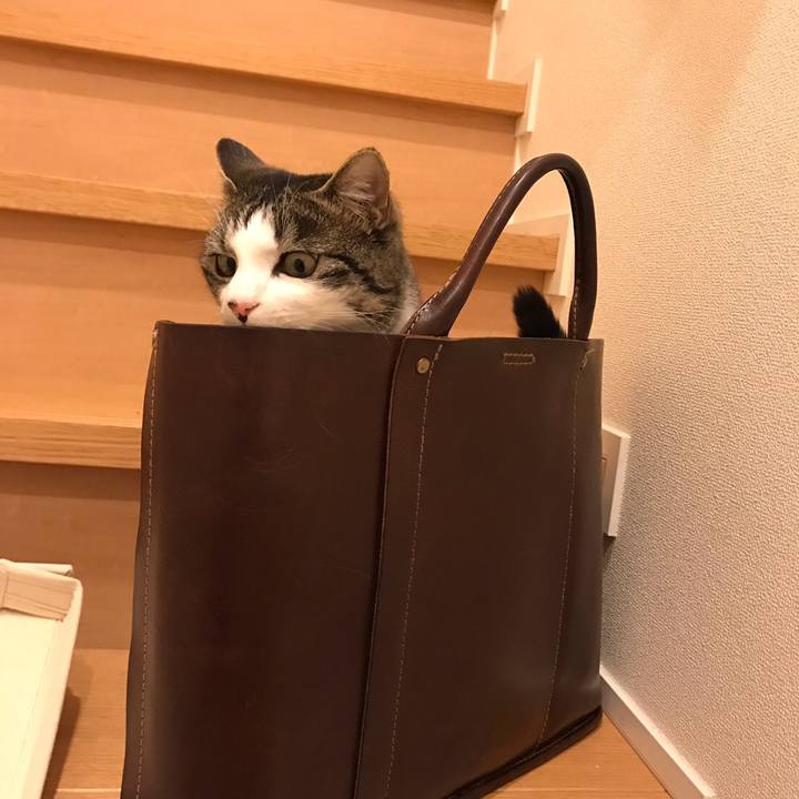 Aba75d62 59aa 49c3 9f00 260afde259a2