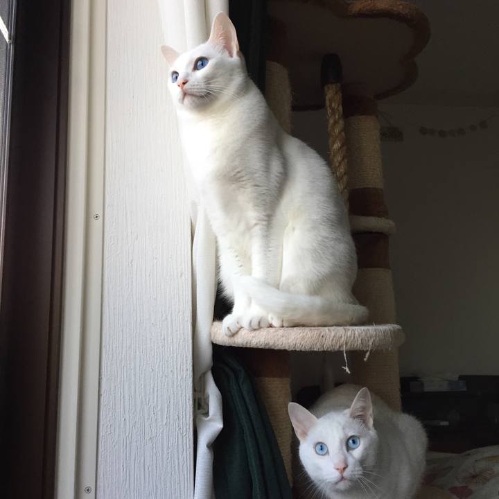 Aba75fbb e43e 4b0a 9d4c 5ea609ba93fc