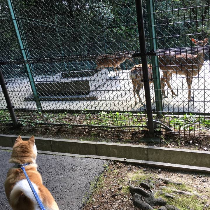 Aba80ef4 9363 4bee 8ec5 87150e47cf71