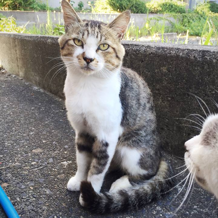 Aba871e4 4b34 4518 a77c 4eb5e1f73c4c