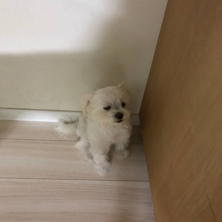 Aba896f0 9486 42ce 95c2 c0ae5fdf41eb