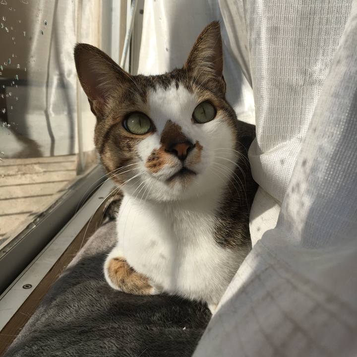 Aba8b7f8 9a74 41cc b3a6 1f32094e125f