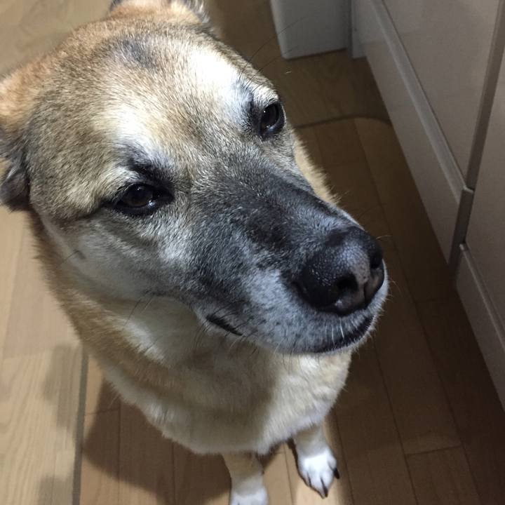 Aba90b04 65df 481a bef0 7c07f8dbe7a5