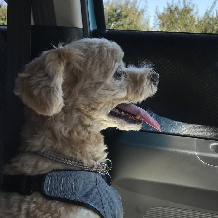 Aba94403 6bf0 478e adbf a00143e878cb