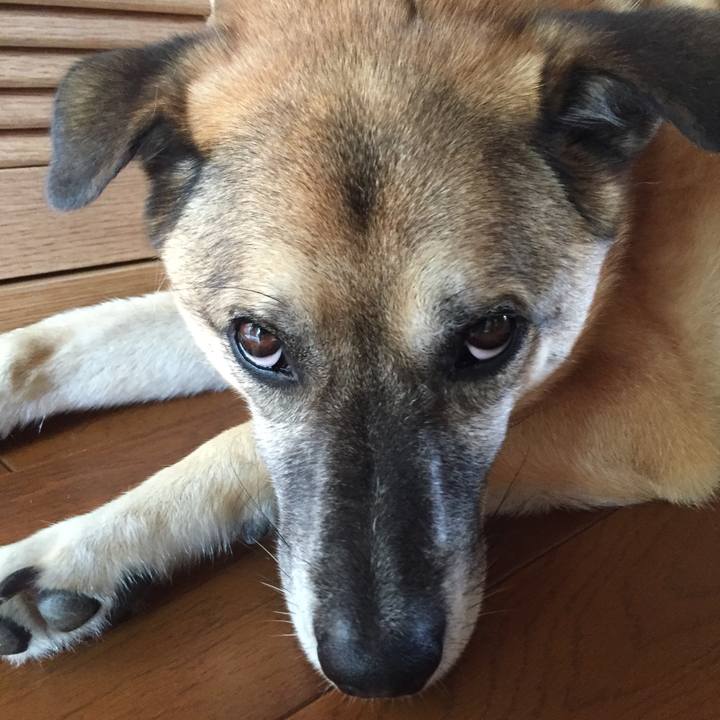 Aba9b5eb b107 478d b911 fab1194c42cd