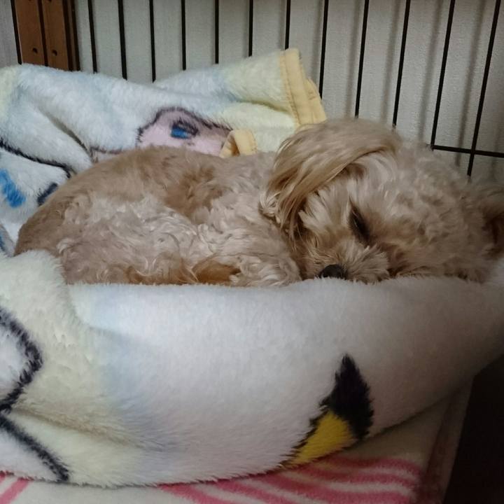 Abab6130 b457 4f46 a9fa 1576d38a1dce