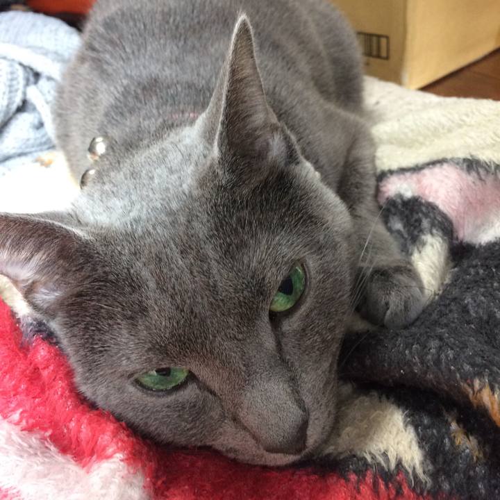 Ababf6b2 33c4 46b6 b17a 20b2ab44848b