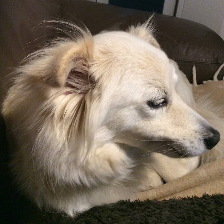 Abac491a 31d8 4b8d 83ba 2de8b2647022