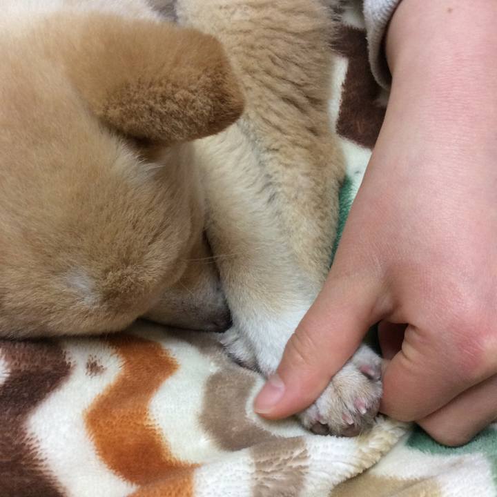 Abac71c1 786e 41f3 b4cc 21cf08987512