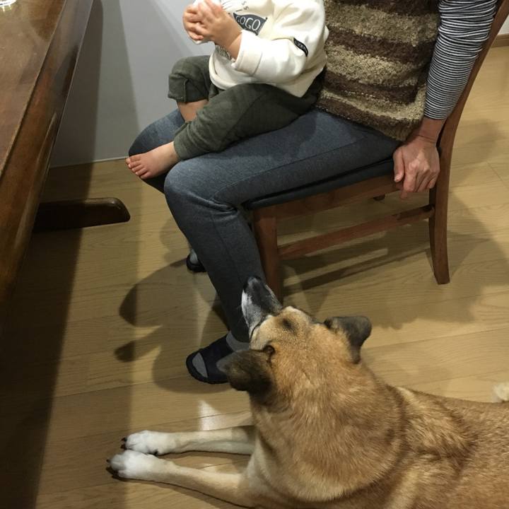 Abacdd8a b00d 4c26 b540 28578e4ad422