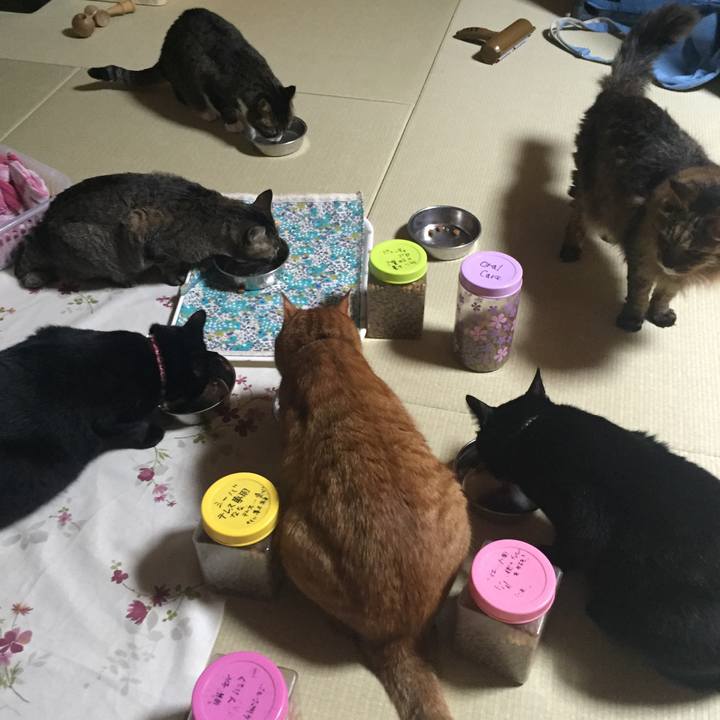 Abad6be2 031b 4f02 8907 5c6ab9a5dcaa