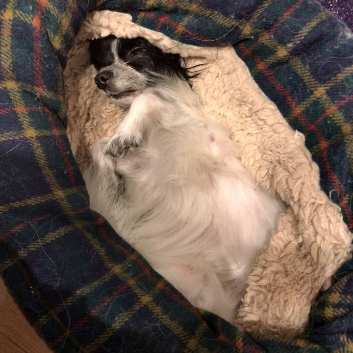 Abaddadf c545 4f9d 9133 b1f1705aabcc