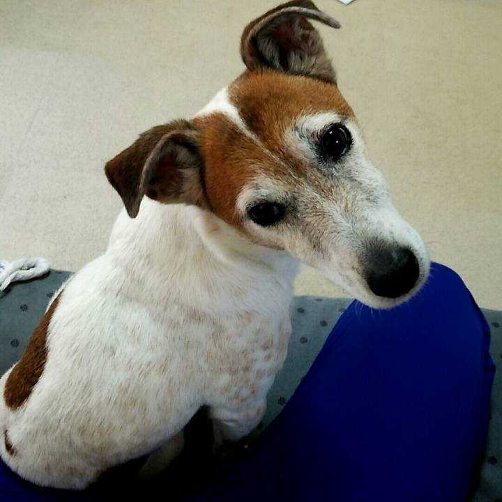 Abae99ac ab6b 42ff 9b41 cb7a85ccbe26