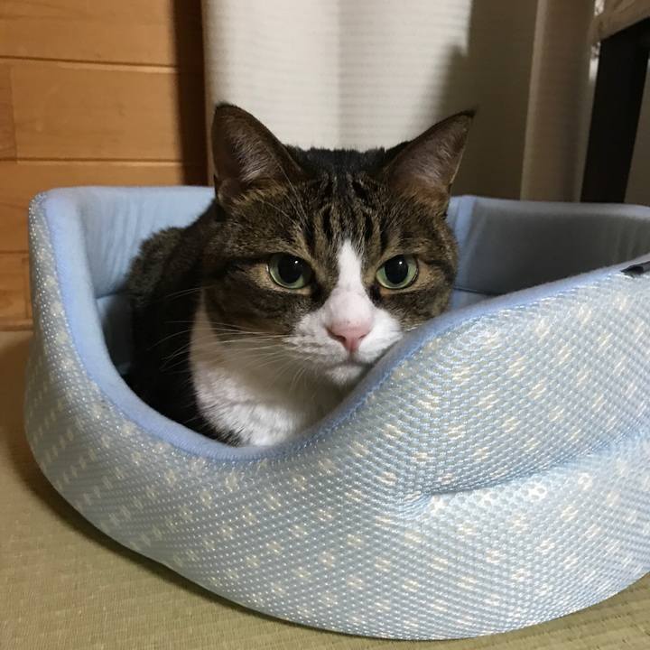 Abafbc36 f552 4f09 a098 218c1678bd15