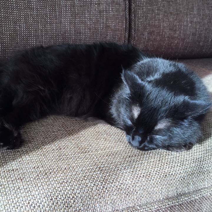 Abb07f04 44a7 4755 b6f8 bebec14d7341