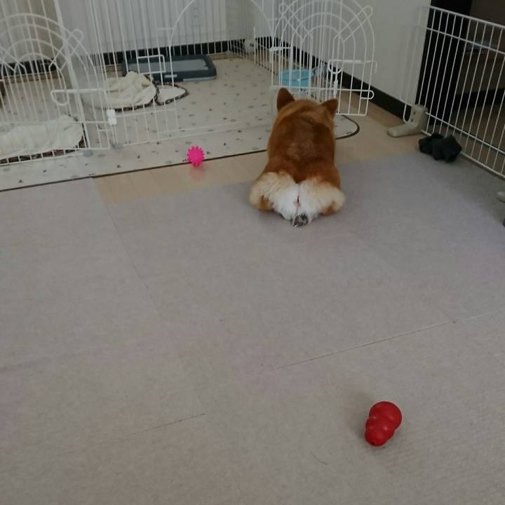 Abb17605 04f9 4d37 8375 efbd07ad3952