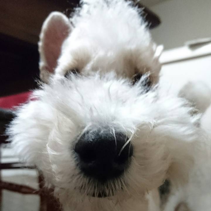 Abb17c36 391d 4ca9 9389 f2865298c957