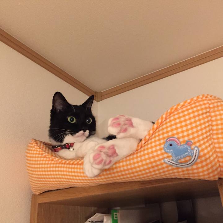 Abb17de8 68d7 46ab 9898 7e8cc75e1dc2