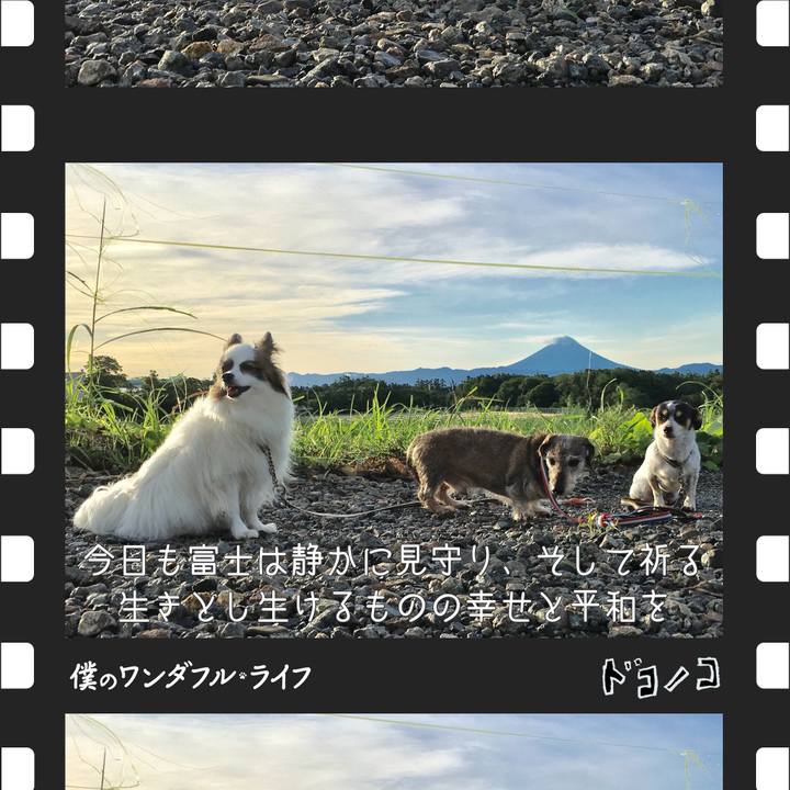 Abb1dd0c 28ad 4cf4 9093 54dc6c4ffecc