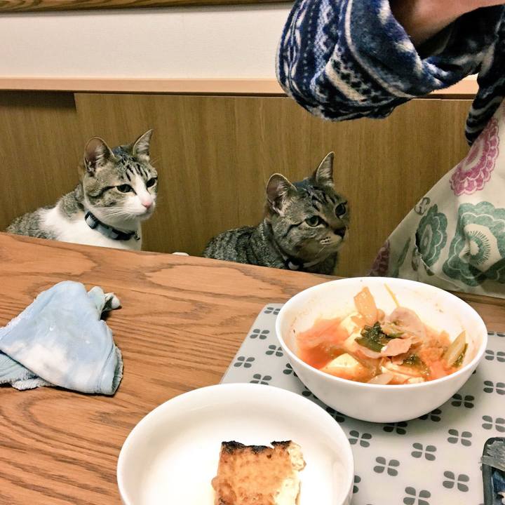 Abb1dd2a 047f 4dc2 b772 c470ce0534d7