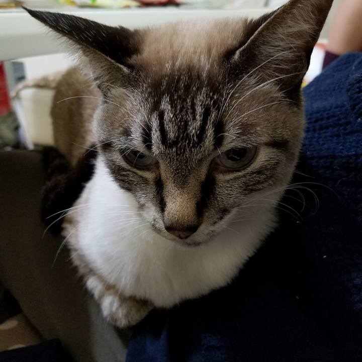 Abb357cd 2256 4c64 81c0 7147d88491aa