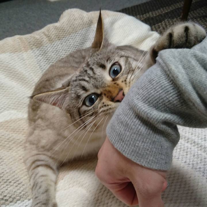 Abb3d88b 04b8 41c2 9135 28d7d989745a