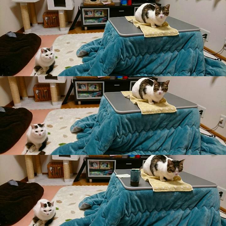 Abb40ec6 9e0b 416c bce9 2b75f7ded7bf