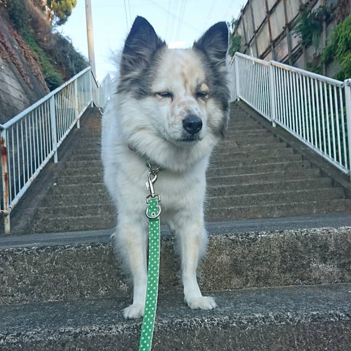 Abb436b5 c387 4449 b028 50a48ffb031a