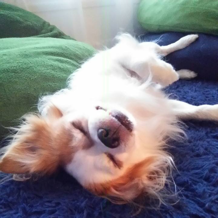 Abb5513c b7b6 4d3a 8e20 1bf33e6ff622